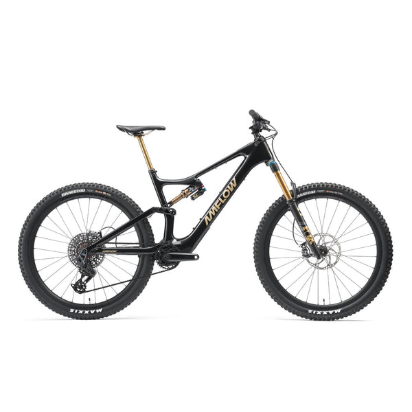 Amflow PL Carbon Pro | Electric Bike (E-Bike) | 1000W • 800Wh Battery • 28 MPH • 29×2.5 Tyres | Sold by Rydiqo®