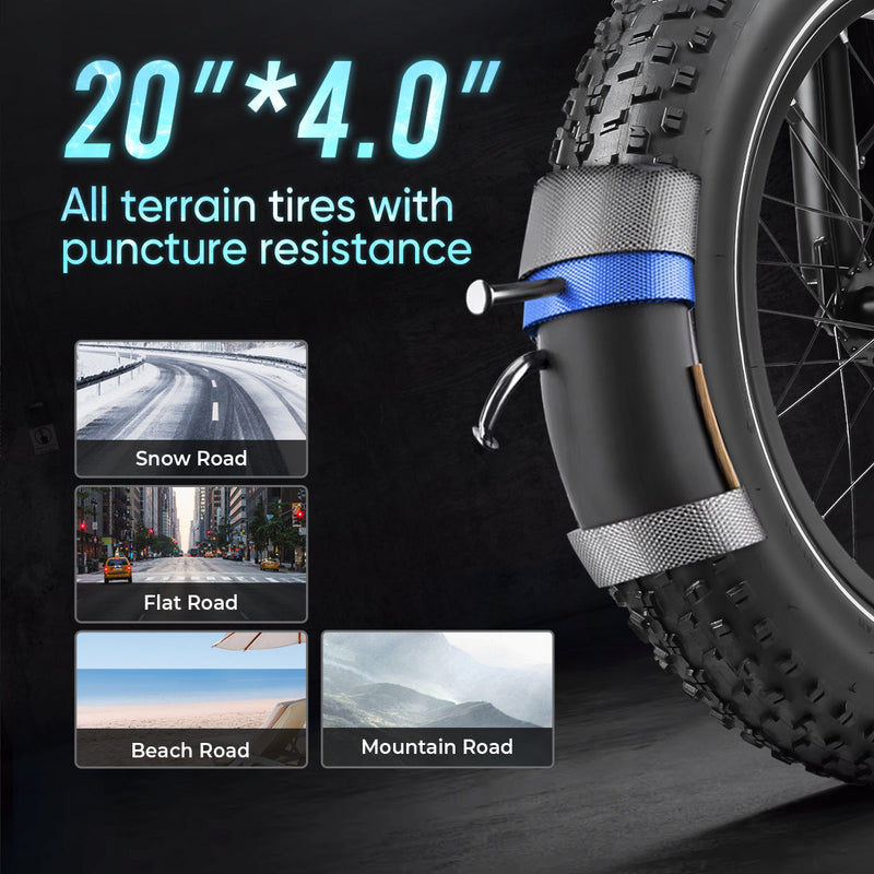SAMEBIKE LOTDM200-II | Electric Bike (E-Bike) | 750W • 48V 13Ah Battery • 22 MPH • 20×4.0 Tyres | Sold by Rydiqo®