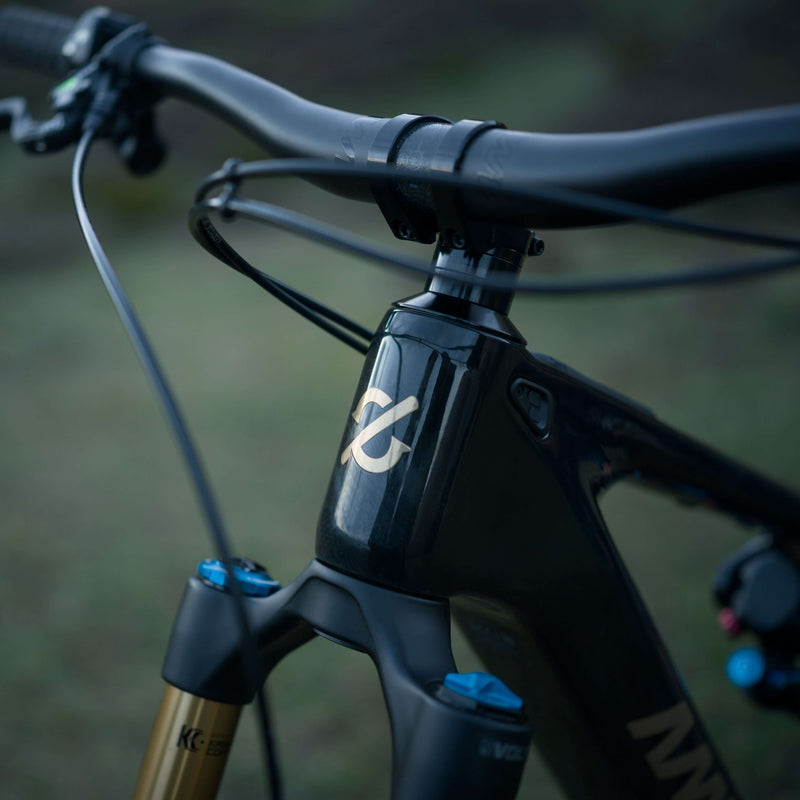 Amflow PL Carbon Pro | Electric Bike (E-Bike) | 1000W • 800Wh Battery • 28 MPH • 29×2.5 Tyres | Sold by Rydiqo®