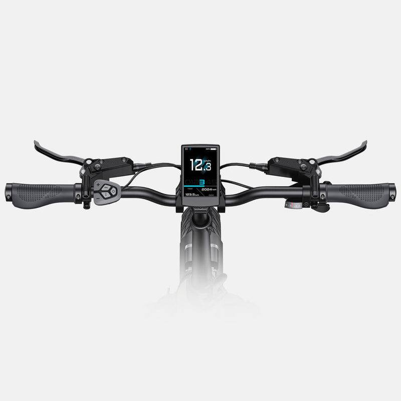 ENGWE L20 3.0 Pro | Electric Bike (E-Bike) | 250W • 48V 15Ah • 15.5 MPH • 20×3.0 Tyres | Sold by Rydiqo®