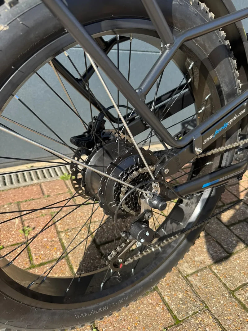 Freesky e-bike