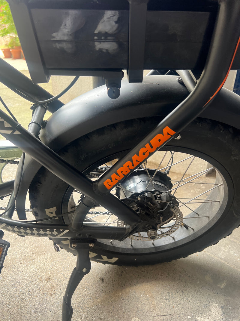 Barracuda Rogue E-Bike