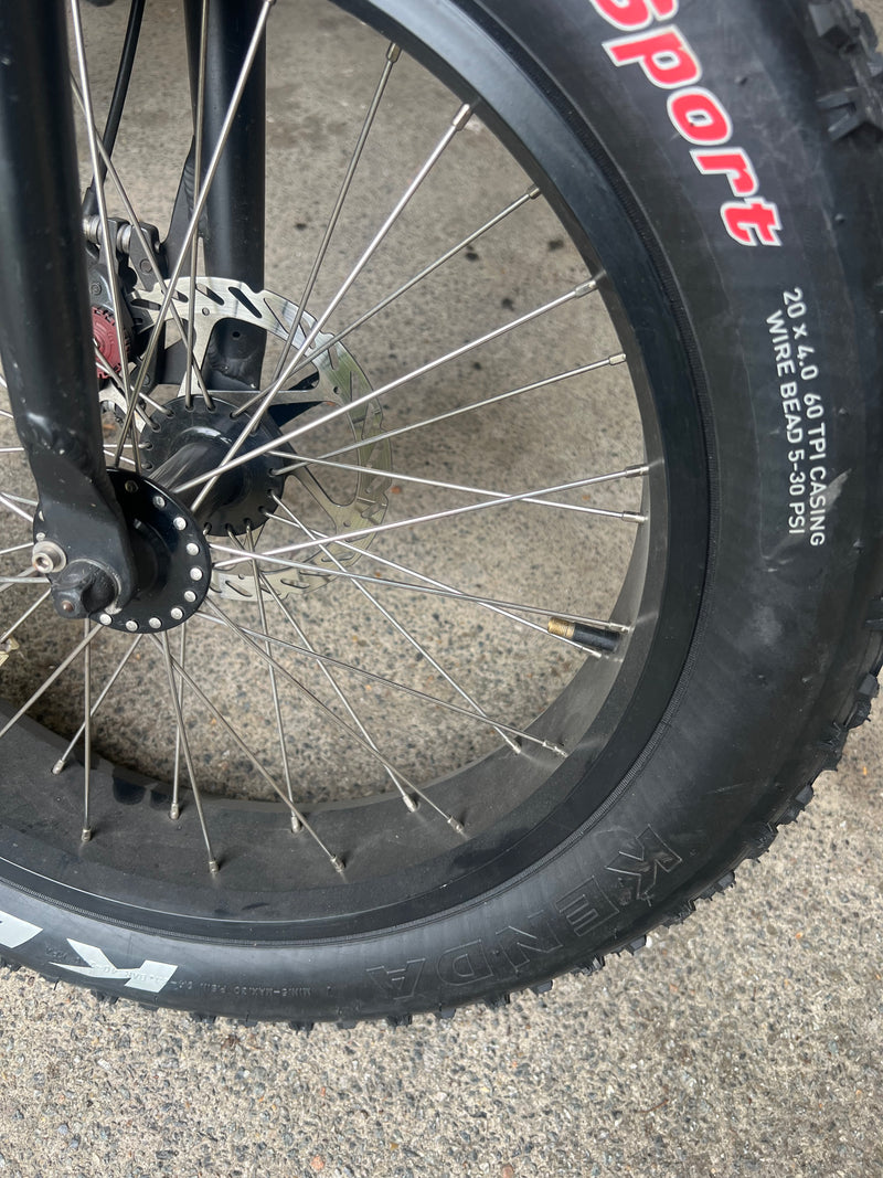 Barracuda Rogue E-Bike