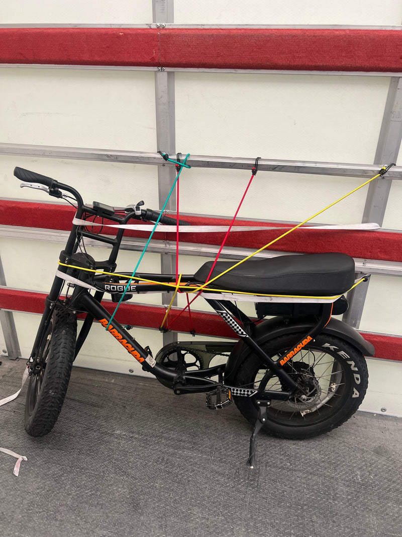 Barracuda Rogue E-Bike