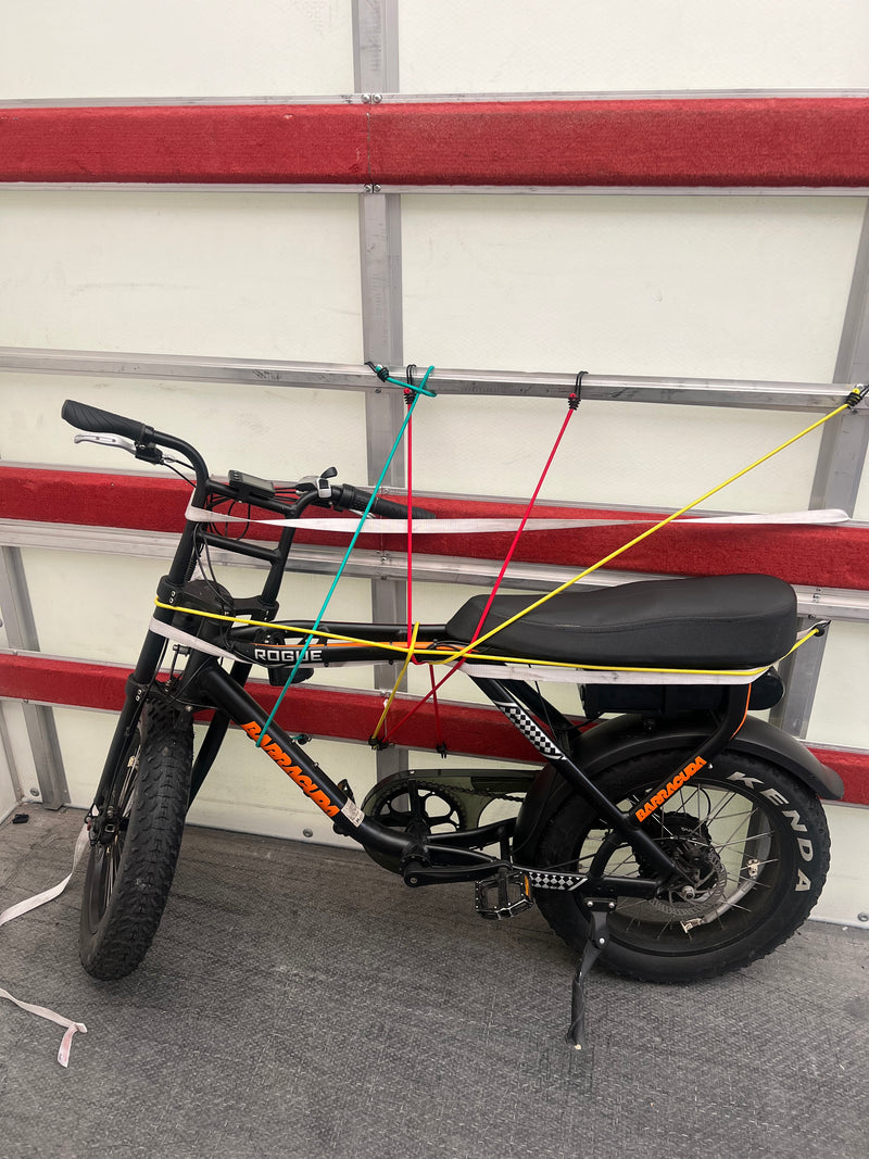 Barracuda Rogue E-Bike