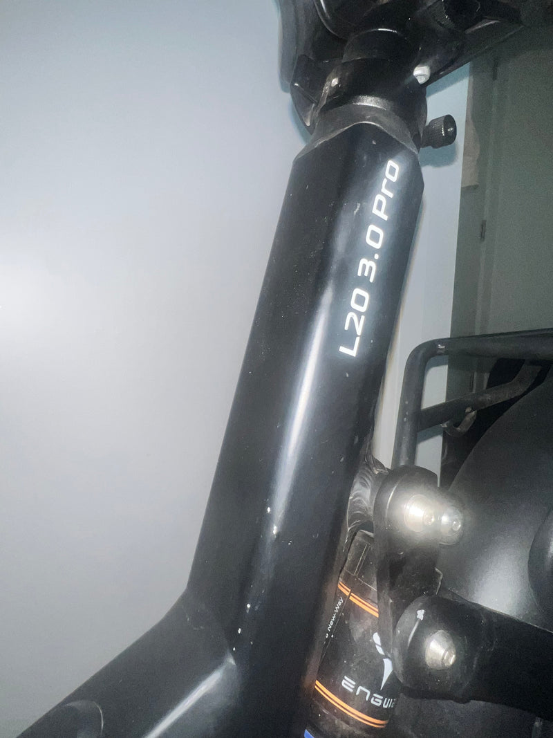 ENGWE L20 3.0 pro
