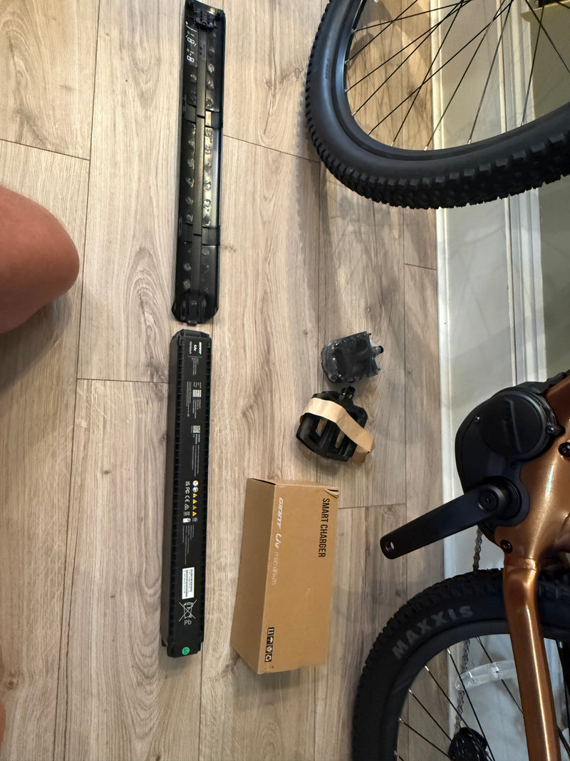 Giant Talon E+ 29er Meteor Storm Large