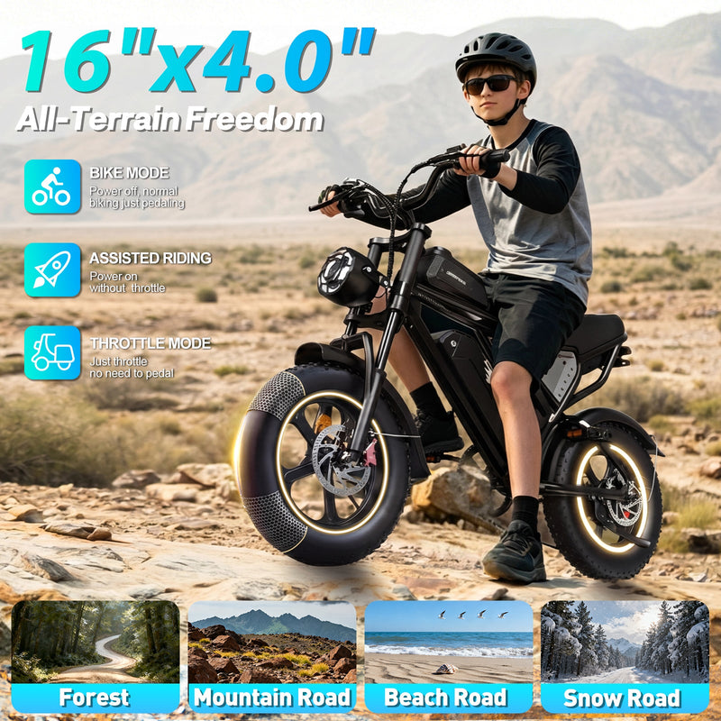 YVY C16 | Electric Bike (E-Bike) | 1500W • 48V 20Ah • 33 MPH • 16×4.0 Fat Tyres | Sold by Rydiqo®