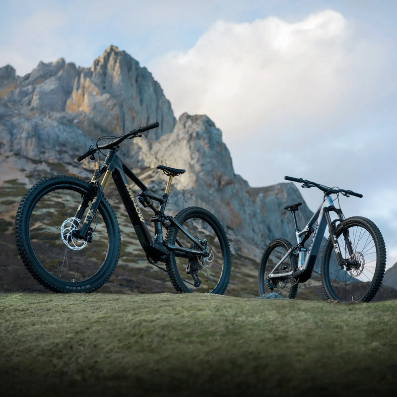 Amflow PL Carbon Pro | Electric Bike (E-Bike) | 1000W • 800Wh Battery • 28 MPH • 29×2.5 Tyres | Sold by Rydiqo®