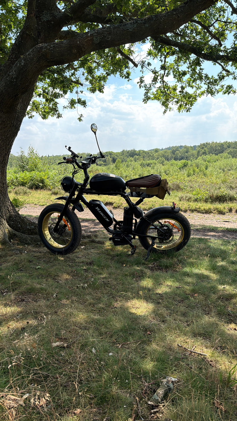 Rocket sx sport utility ebike 350w