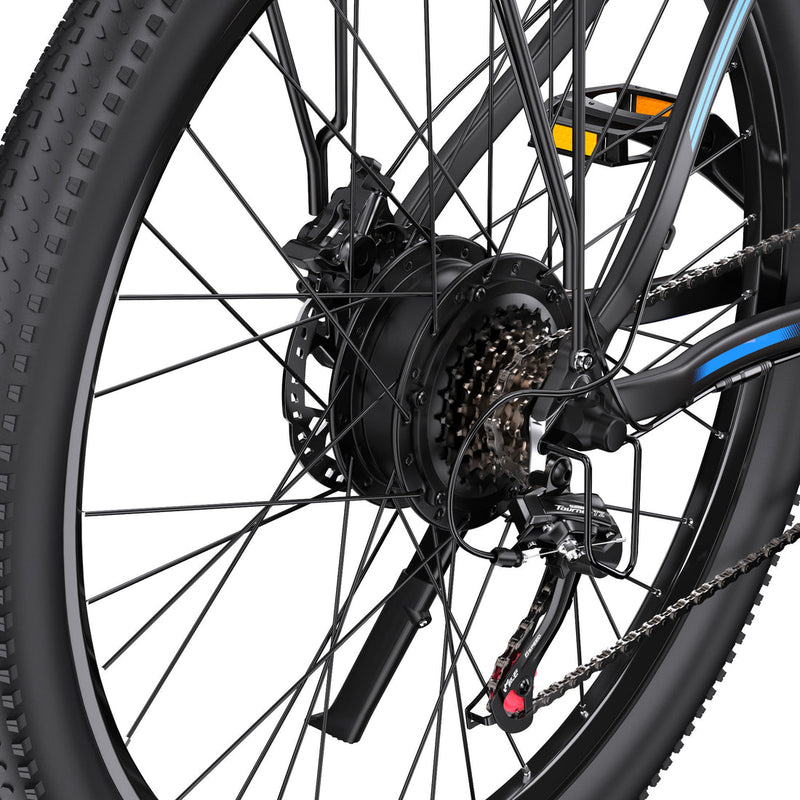 DUOTTS C29 L | Electric Bike (E-Bike)