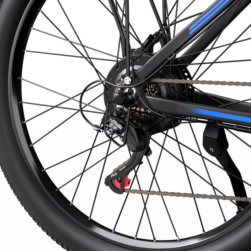 DUOTTS C29 L | Electric Bike (E-Bike) | 750W • 48V 15Ah • 28 MPH • 29" Tyres | Sold by Rydiqo®