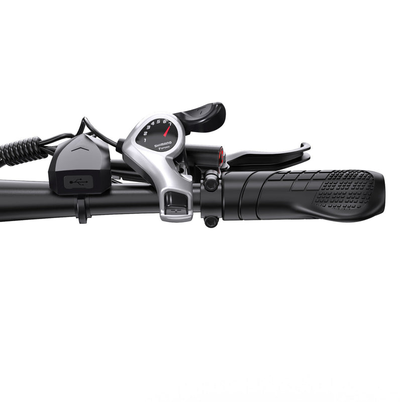 DUOTTS C29 L | Electric Bike (E-Bike) | 750W • 48V 15Ah • 28 MPH • 29" Tyres | Sold by Rydiqo®