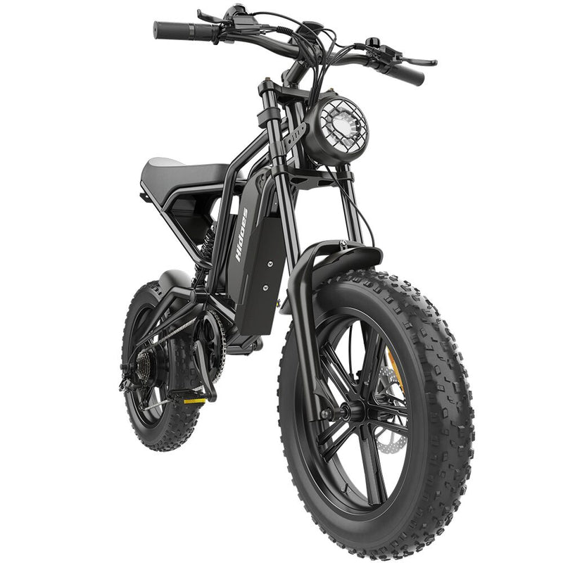 Hidoes B6 | Electric Bike (E-Bike) | 1200W • 48V 15.6Ah • 31 MPH • 20×4.0 Fat Tyres | Sold by Rydiqo®