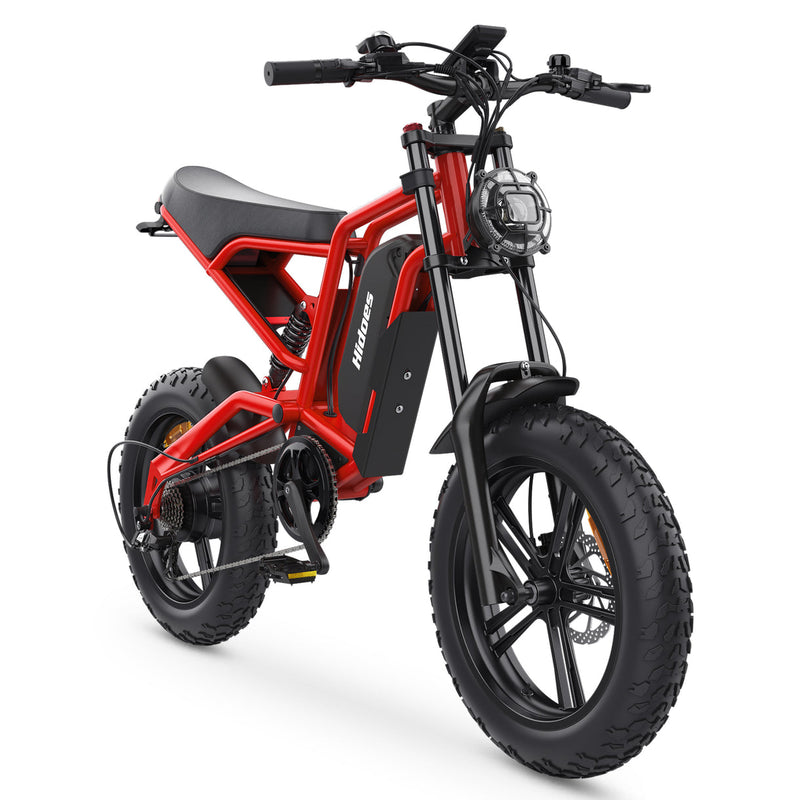 Hidoes B6 | Electric Bike (E-Bike) | 1200W • 48V 15.6Ah • 31 MPH • 20×4.0 Fat Tyres | Sold by Rydiqo®