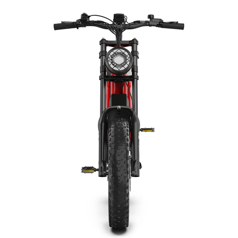 Hidoes B6 | Electric Bike (E-Bike) | 1200W • 48V 15.6Ah • 31 MPH • 20×4.0 Fat Tyres | Sold by Rydiqo®