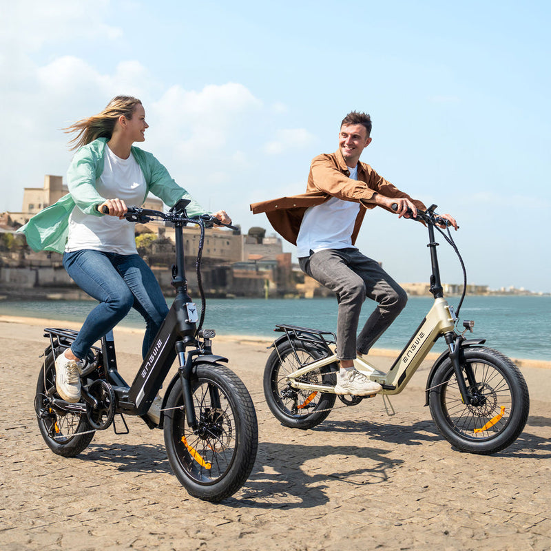 ENGWE L20 3.0 Boost | Electric Bike (E-Bike) | 250W • 48V 13.5Ah • 15.5 MPH • 20×3.0 Tyres | Sold by Rydiqo®