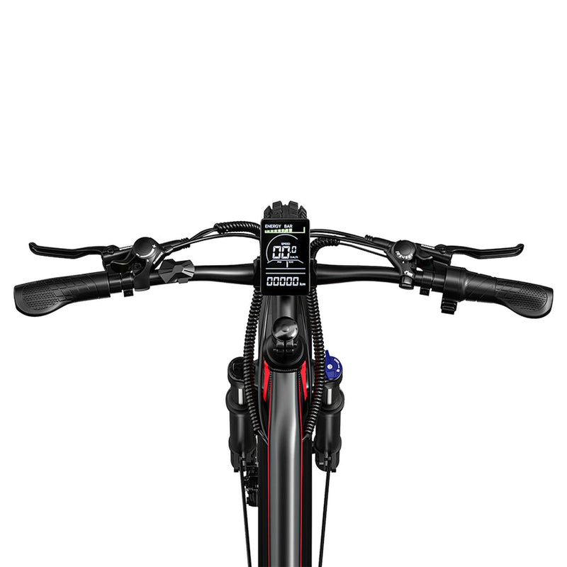 RANDRIDE YG90B-29 | Electric Bike (E-Bike) | 1000W • 48V 17Ah • 28 MPH • 29" Tyres | Sold by Rydiqo®