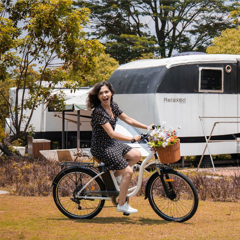 DYU C6 26" City Electric Bike | 250W | 36V 12.5Ah | 25km/h | White