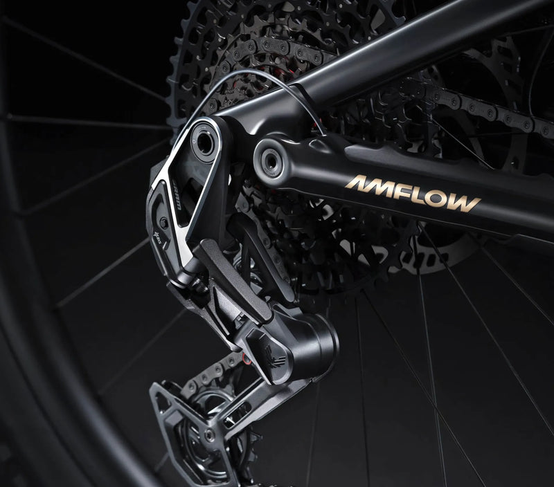 Amflow PL Carbon Pro | Electric Bike (E-Bike) | 1000W • 800Wh Battery • 28 MPH • 29×2.5 Tyres | Sold by Rydiqo®